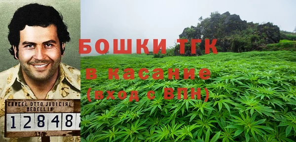 PSILOCYBIN Вязники