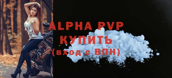 мдпв Горняк