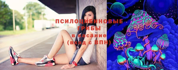 тгк Горнозаводск