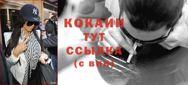 PSILOCYBIN Вязники