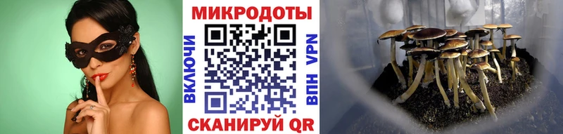 Галлюциногенные грибы GOLDEN TEACHER  блэк спрут маркетплейс  Черемхово 